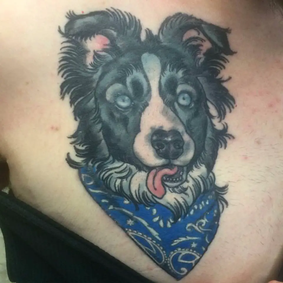 animated Border Collie wearing a blue scarf tattoo