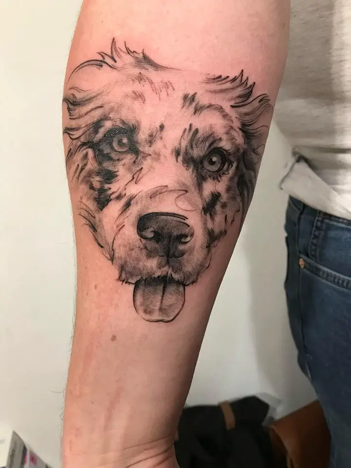 artistic face of a Border Collie tattoo on the forearm