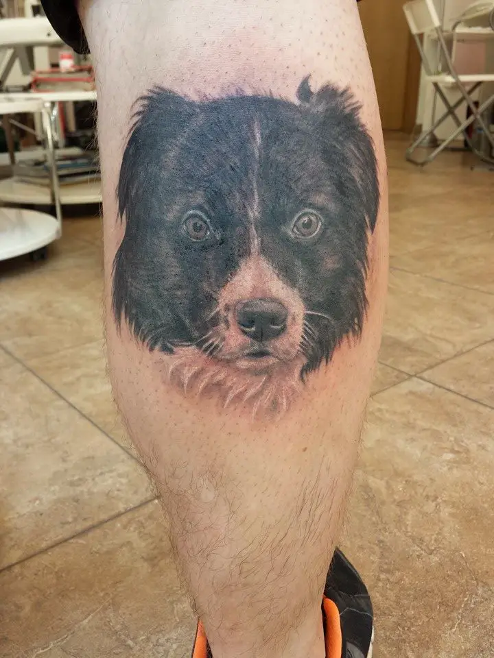 realistic face of a Border Collie tattoo on the leg