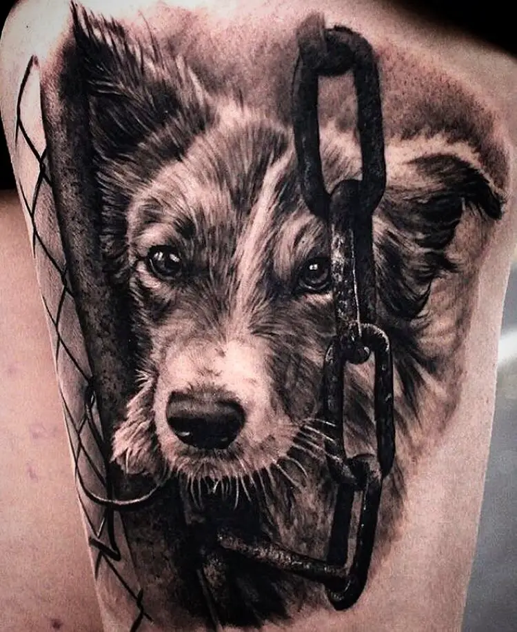 3D face of a Border Collie behind the gate tattoo on the thigh