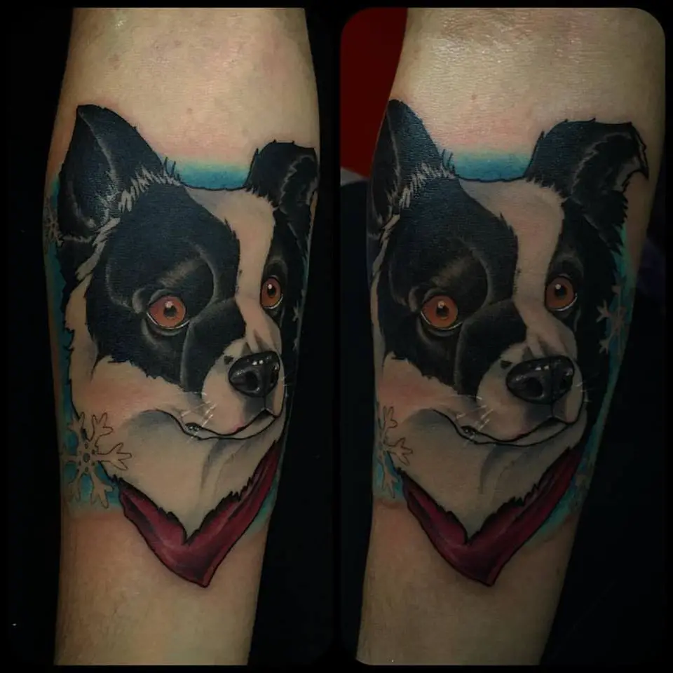 animated black and white face of a Border Collie tattoo on the forearm