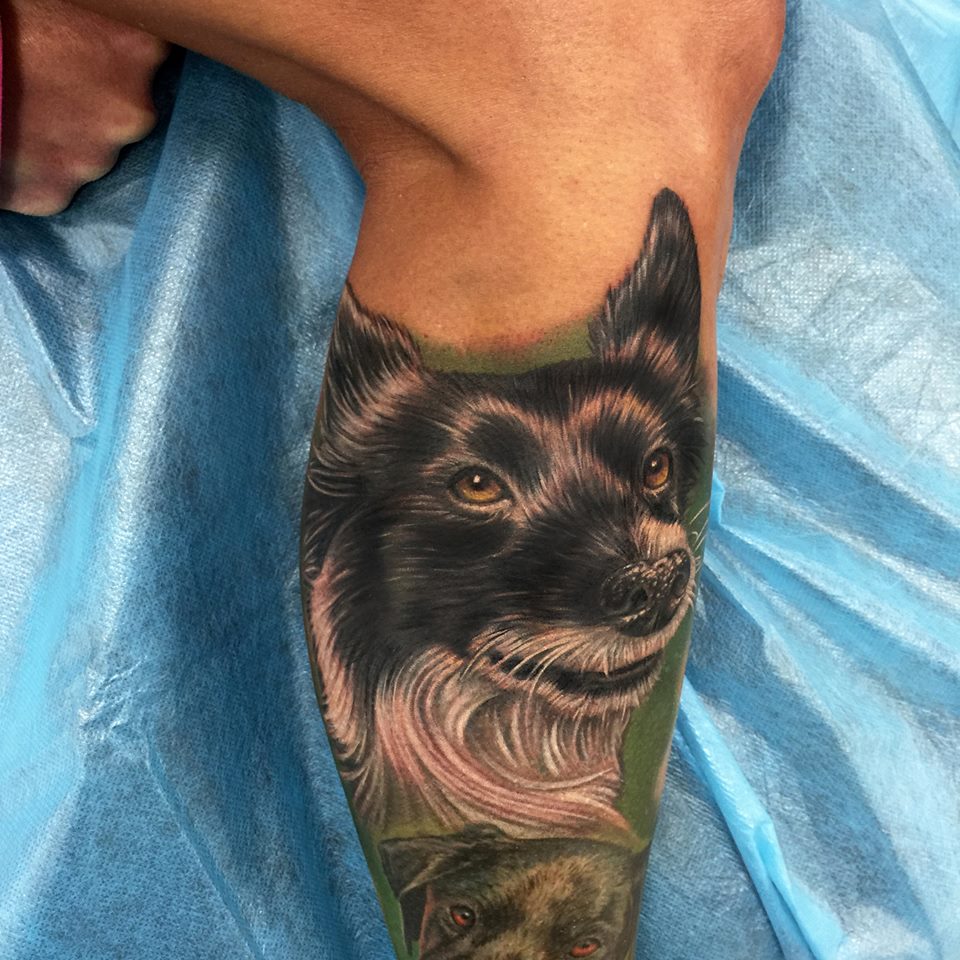 realistic black and white Border Collie with green background tattoo on the leg