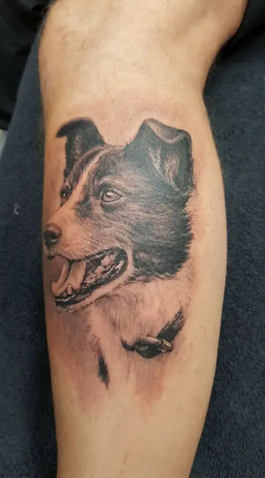 sideview smiling face of a Border Collie tattoo on the leg