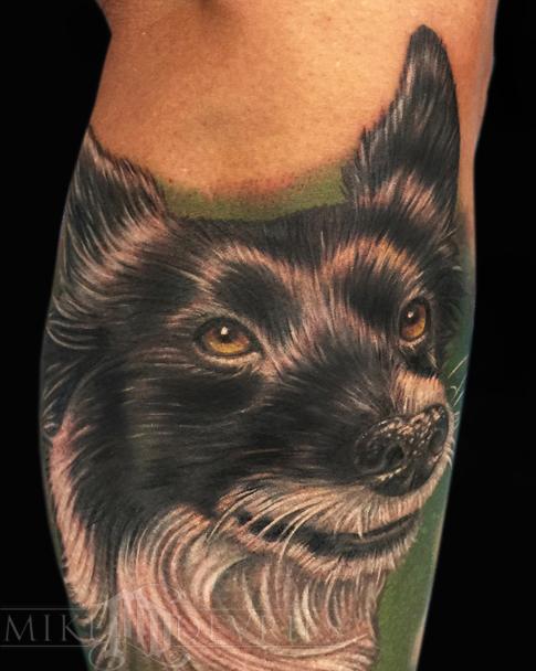 realistic Border Collie tattoo on the leg