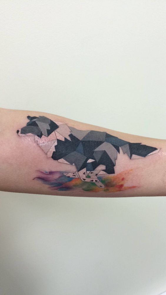 a geometric Border Collie tattoo running in a colors tattoo on the forearm