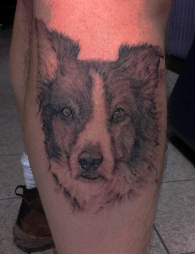 face of a Border Collie tattoo on the leg