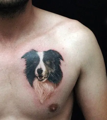 A smiling face of a black and white Border Collie tattoo on the chest