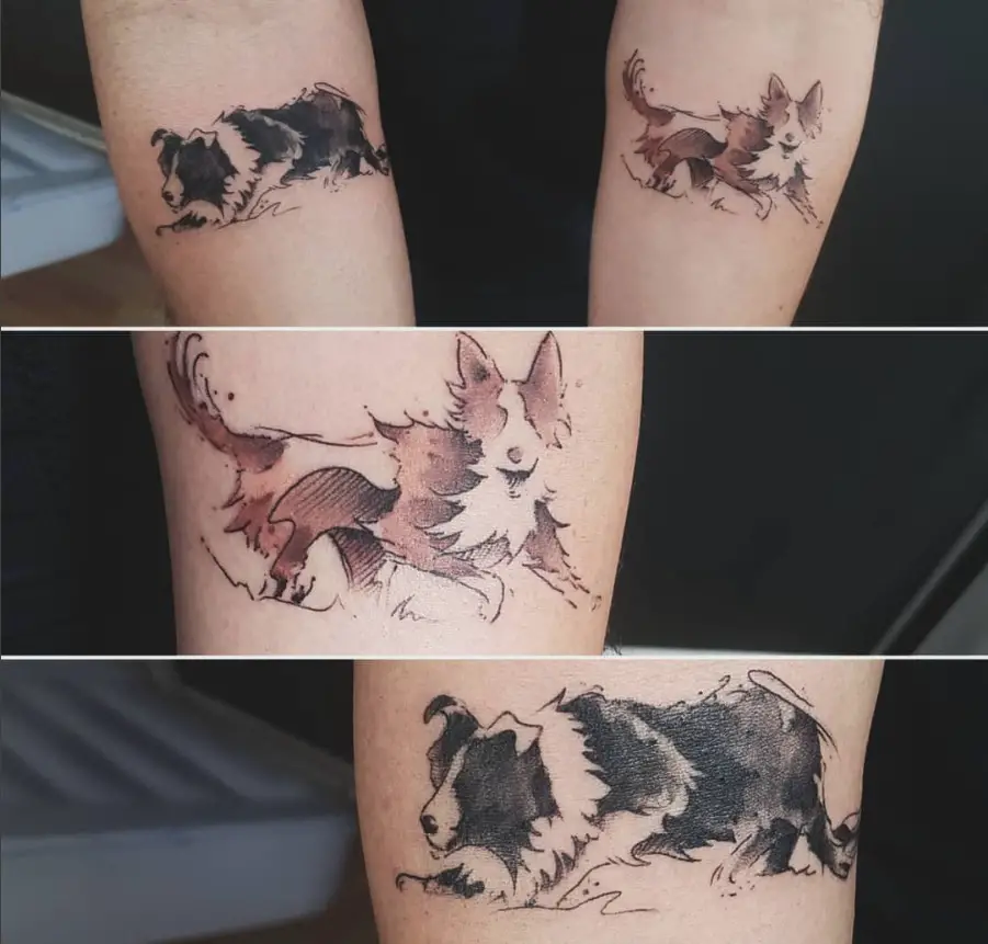 collage photo of Border Collie in sketch style tattoo on the forearm