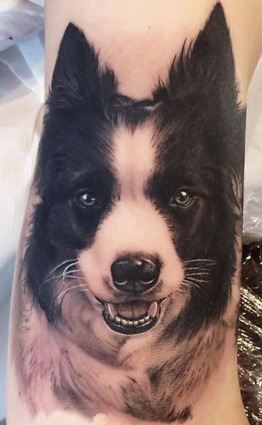 large face of the black and white Border Collie tattoo on the leg