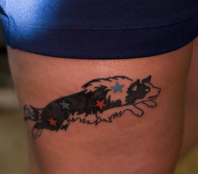 a jumping Border Collie with stars on its body tattoo on the thigh