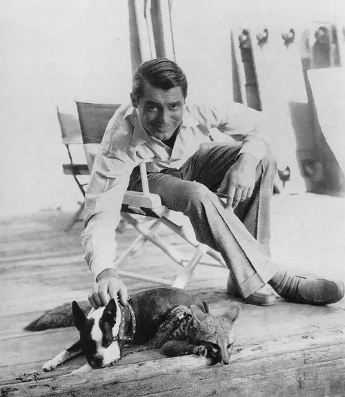 Cary Grant sitting on the chair while petting his Boston Terrier lying on the floor in front of him