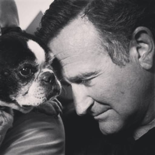 Robin Williams leaning his forward towards his Boston Terrier