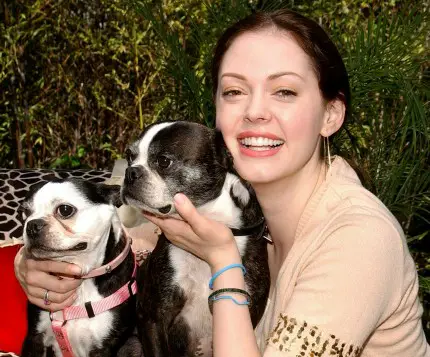Rose McGowen with her two Boston Terriers
