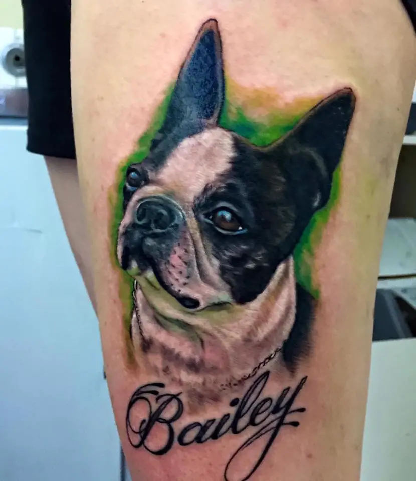 black and white Boston Terrier with yellow and green shadow and name 