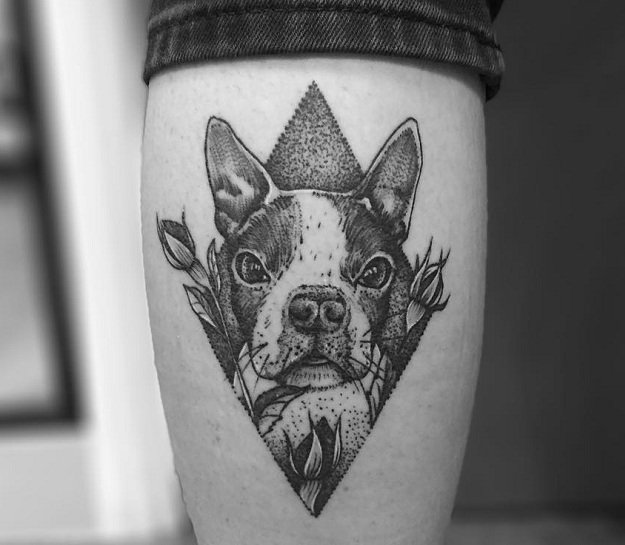 face of Boston Terrier in diamond shape with flowers and leaves tattoo on the leg