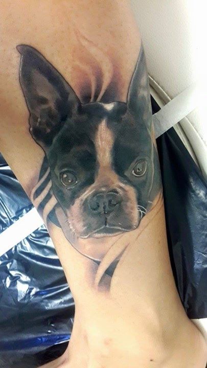3D looking up Boston Terrier tattoo on the leg
