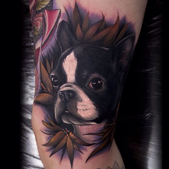 realistic face of Boston Terrier with brown leaves and violet shadow tattoo on the shoulder