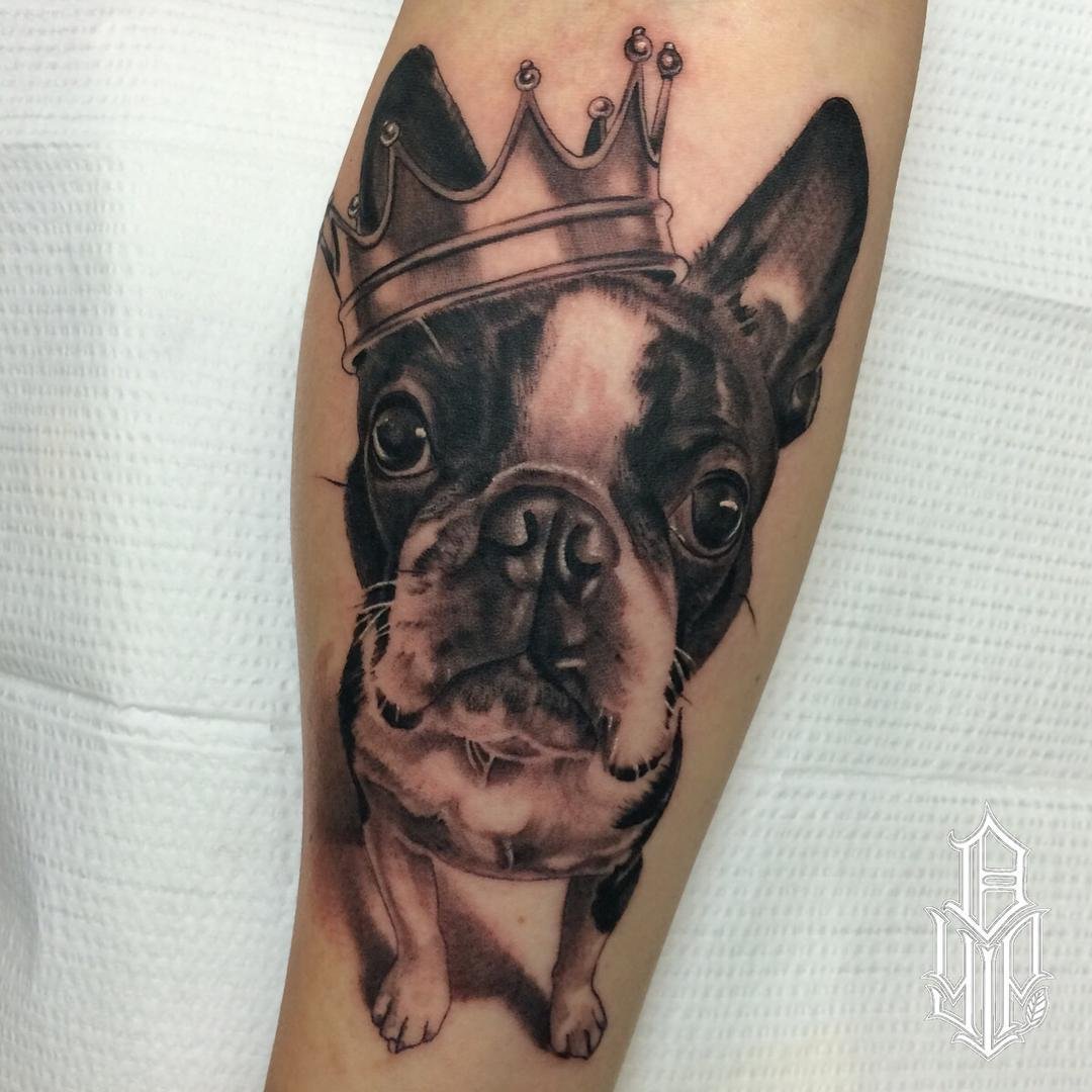 3D sitting Boston Terrier wearing crown tattoo on the leg