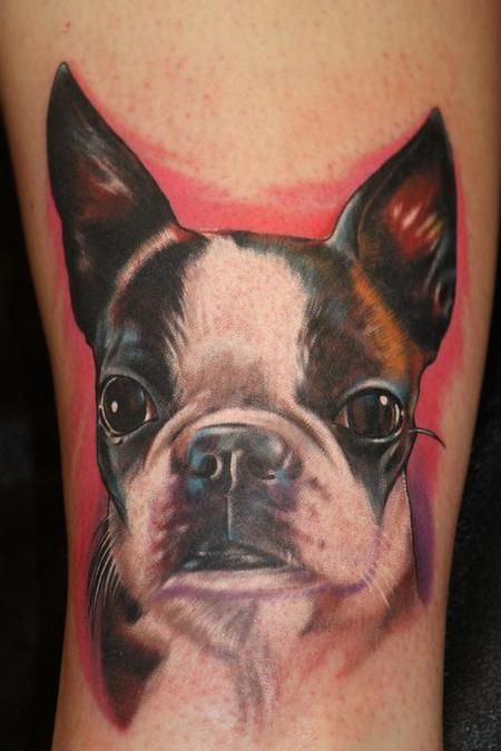face of Boston Terrier with red shadow tattoo on the leg