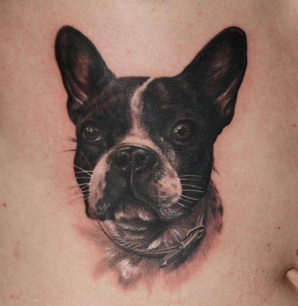 black and white Boston Terrier tattoo