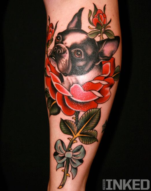 realistic black and white Boston Terrier in a flower and leaves tattoo on the leg