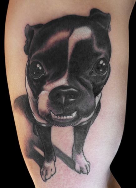 smiling with its teeth black and white Boston Terrier tattoo on thigh