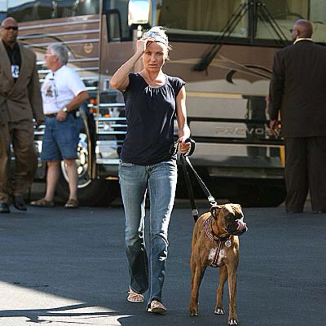 Cameron Diaz walking with her Boxer dog