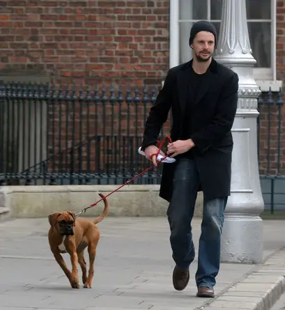 Matthew Goode walking in the street with his Boxer dog