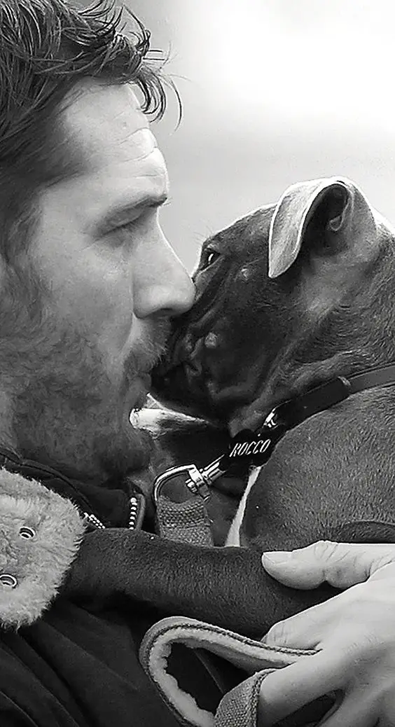 Tom Hardy kissing his Boxer dog