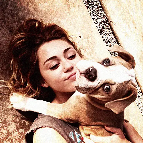 Miley Cyrus lying on the floor with her Boxer puppy on top of her