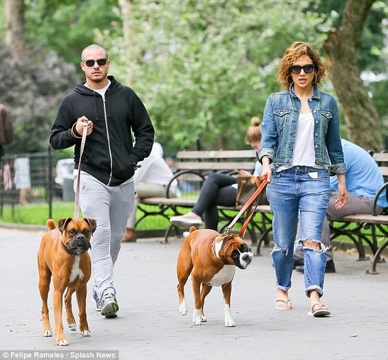 Jennifer Lopez and her boyfriend Casper Smart walking at the park with their Boxer dogs