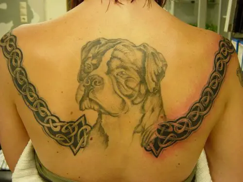 face of Boxer Tattoo on the back