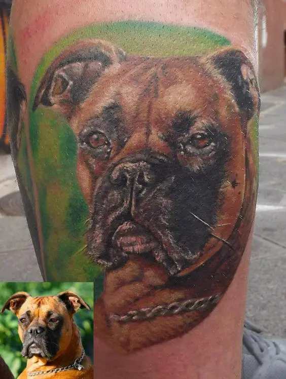 realistic face of Boxer in green circular shadow tattoo on the leg