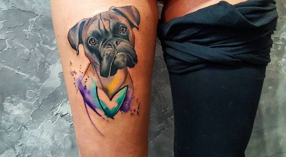 realistic sad face of Boxer with purple and blue watercolor on its chest tattoo on the thigh
