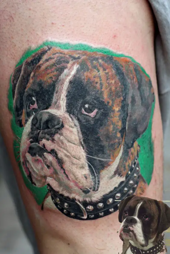 Boxer dog looking up with its begging face in green shadow tattoo on the thigh