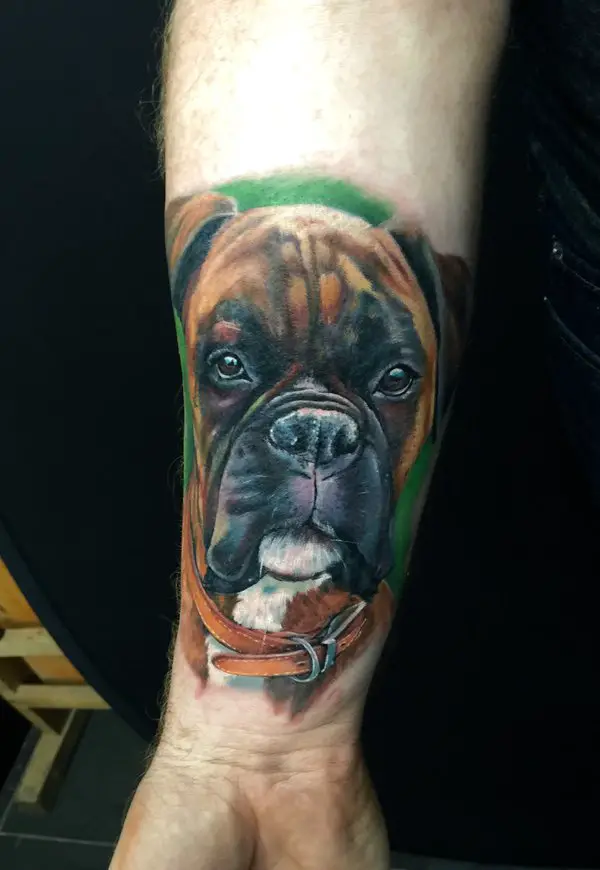 realistic face of Boxer dog Tattoo the forearm