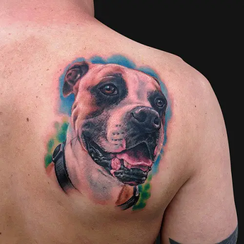 realistic smiling face of Boxer dog with blue and green shadow tattoo on the back