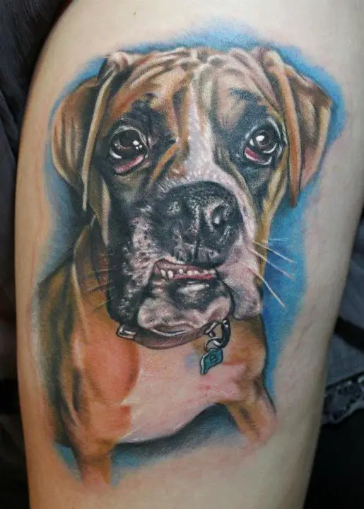 Boxer dog with its sad face in blue shadow Tattoo on the thigh