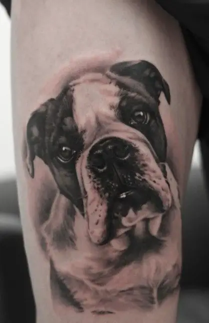 3D curious face of Boxer Tattoo on the thigh
