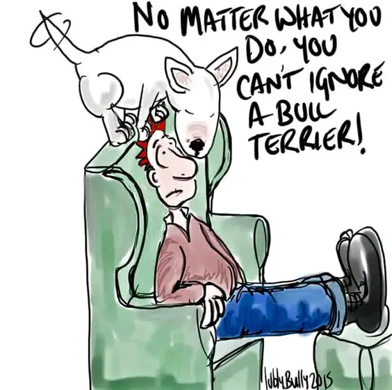 drawing of a man sitting on a chair while an English Bull Terrier on top looking at him with a message 