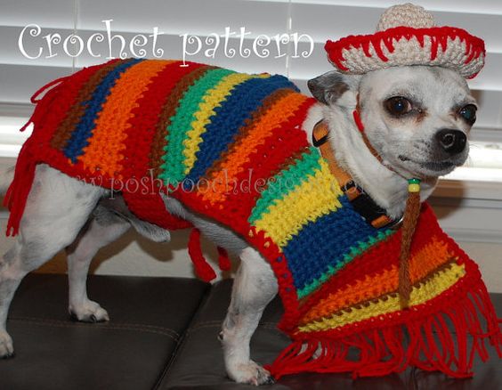 A Chihuahua wearing a colorful dress and a mexican hat