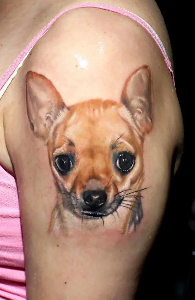Chihuahua tattoo on the arm