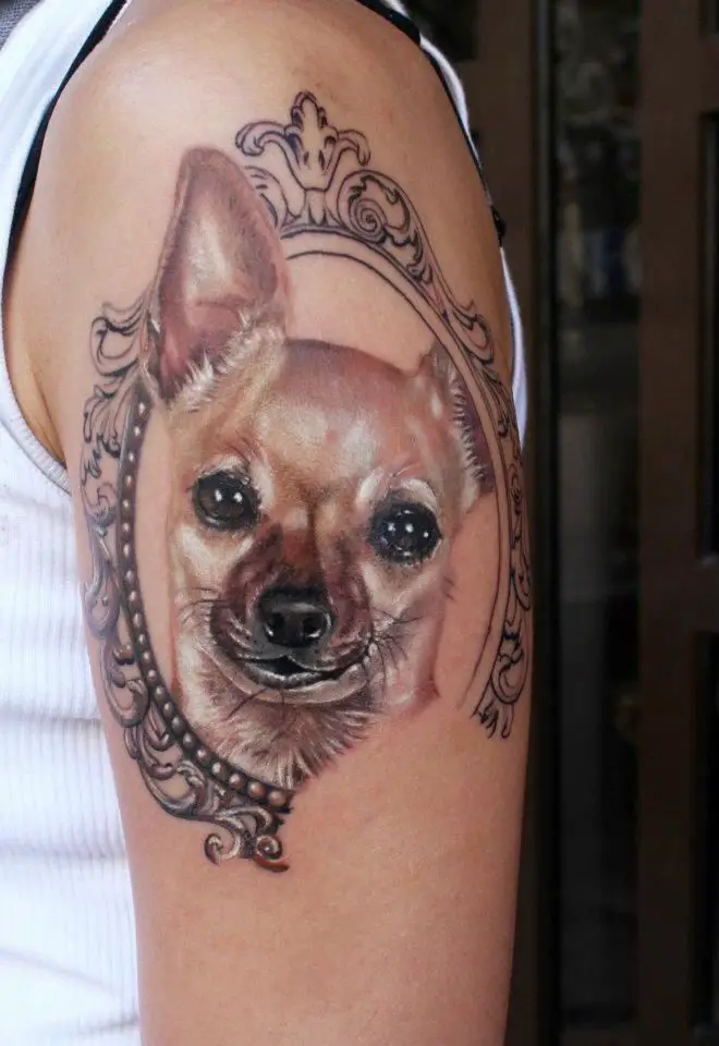 realistic face of Chihuahua in a frame tattoo on the arm