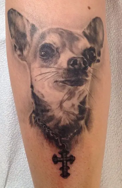 3D Chihuahua wearing a collar with a cross tattoo on the leg