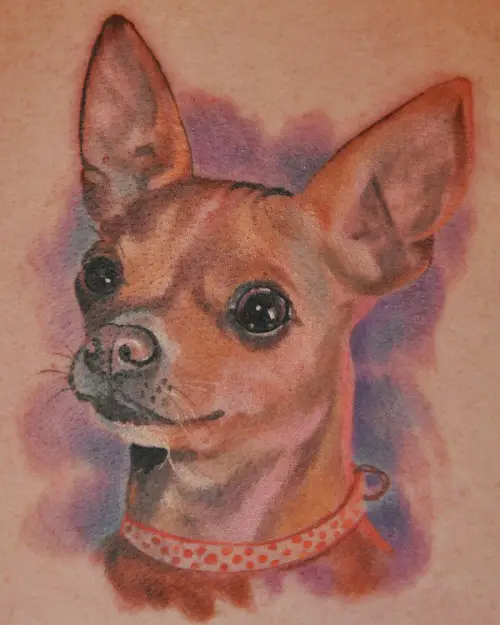 3D Chihuahua tattoo