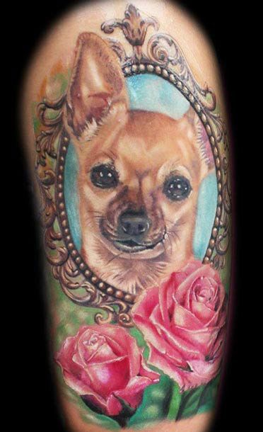 realistic Chihuahua in frame with pink roses tattoo