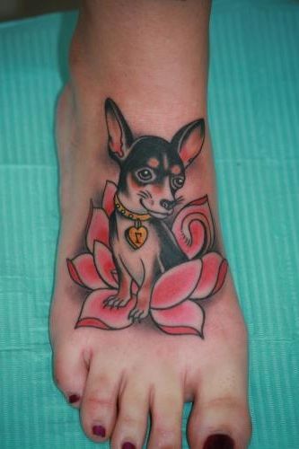 Chihuahua sitting on a flower tattoo on the foot