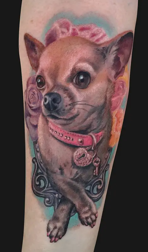 sweet faced Chihuahua tattoo on the forearm