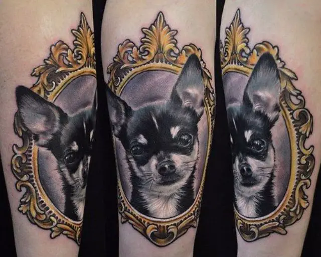 black Chihuahua inside a gold frame tattoo on the leg