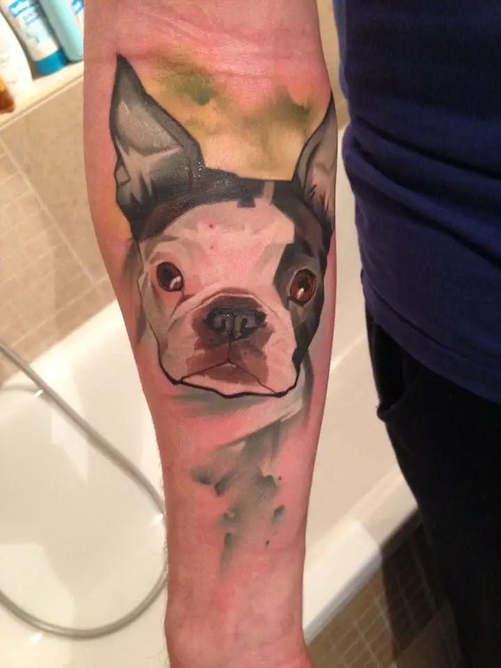 painting style face of Boston Terrier tattoo on the forearm